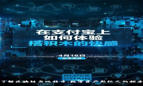 全面了解区块链与比特币：数字资产新纪元的探索之旅