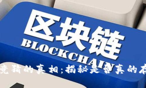 TP钱包竞猜的真相：揭秘是否真的存在骗局