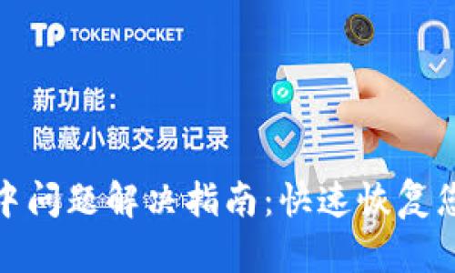 TP钱包打包中问题解决指南：快速恢复您的资金安全
