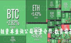 2023年区块链资本查询公司全景介绍：投资前景与