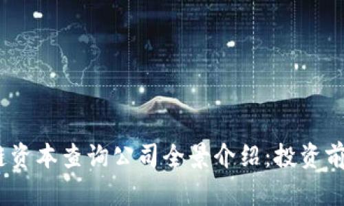 2023年区块链资本查询公司全景介绍：投资前景与市场趋势