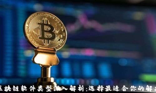 
现成区块链软件类型深入解析：选择最适合你的解决方案