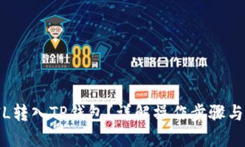 如何将FIL转入TP钱包？详解操作步骤与链的选择