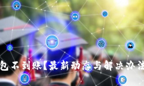 TP钱包不到账？最新动态与解决办法解析