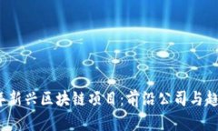 2023年新兴区块链项目：前沿公司与趋势探索
