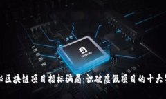 探秘区块链项目招标骗局：识破虚假项目的十大