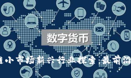 2023年区块链小市场新兴行业探索：最前沿的应用与趋势