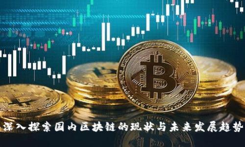 深入探索国内区块链的现状与未来发展趋势