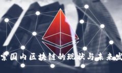 深入探索国内区块链的现状与未来发展趋势