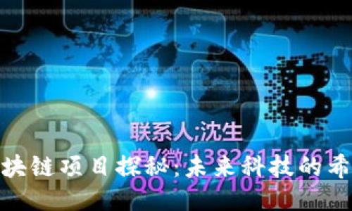 瓜州区块链项目探秘：未来科技的希望之地
