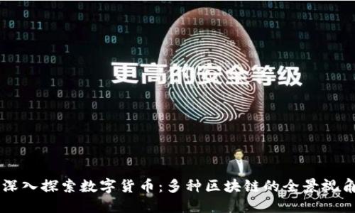 深入探索数字货币：多种区块链的全景视角