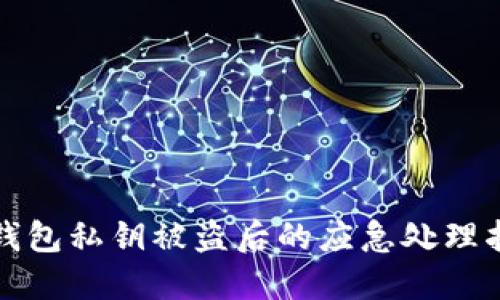 TP钱包私钥被盗后的应急处理指南