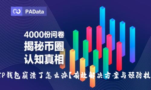  TP钱包崩溃了怎么办？有效解决方案与预防技巧