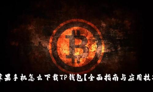 苹果手机怎么下载TP钱包？全面指南与应用技巧