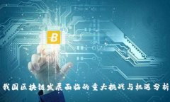 我国区块链发展面临的重大挑战与机遇分析