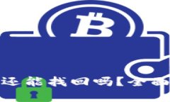 TP钱包币被盗后还能找回吗？全面解析与防范措施