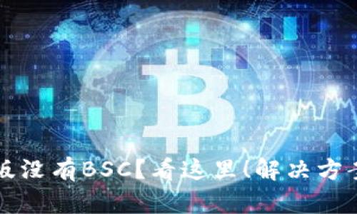 TP钱包电脑版没有BSC？看这里！解决方案与详细指南