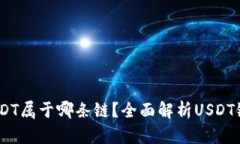 :TP钱包中的USDT属于哪条链？全面解析USDT链的选择