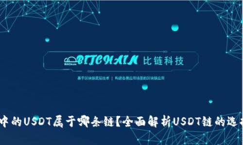 :TP钱包中的USDT属于哪条链？全面解析USDT链的选择与影响
