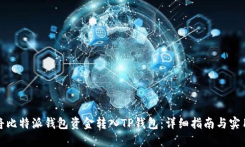 如何将比特派钱包资金转入TP钱包：详细指南与实用技巧