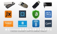 探索BitKeep数字钱包的优势与平台币价值